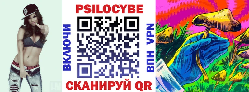 даркнет сайт  Камбарка  Галлюциногенные грибы Psilocybine cubensis 